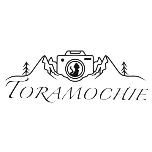 ToraMochie